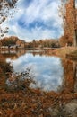 Autumn colors in the park