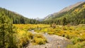 Autumn Colors, Pine Valley, Collegiate Peaks Wilderness, Pike an Royalty Free Stock Photo