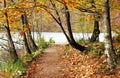 Autumn colors in Plitvice National Park Royalty Free Stock Photo