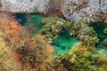 Autumn colors in Plitvice National Park Royalty Free Stock Photo