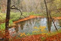 Autumn colors in Plitvice National Park Royalty Free Stock Photo