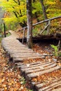 Autumn colors in Plitvice National Park Royalty Free Stock Photo