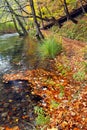 Autumn colors in Plitvice National Park Royalty Free Stock Photo