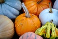 Autumn colors with Pumpkins and Gourds