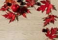 Autumn colors. Red maple leaves on gray wooden background. Selective focus. Royalty Free Stock Photo