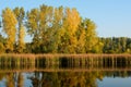 Autumn Colors Reflected on a Lake Royalty Free Stock Photo