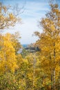 Autumn colors Royalty Free Stock Photo