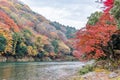 Autumn colors season in Arashiyama, Kyoto, Japan