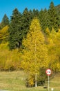 Autumn colors of a side road. Royalty Free Stock Photo