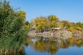 Autumn colors in sunny day on lake in city park. Landscape golden foliage. Royalty Free Stock Photo