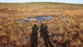 Wonderful sunny autumn day on wetlands