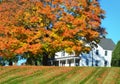 Autumn colors on a tree with fallen leaves in front of a White House on a hill Royalty Free Stock Photo