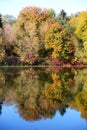 The autumn colors of trees near river Royalty Free Stock Photo