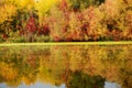 The autumn colors of trees near river Royalty Free Stock Photo