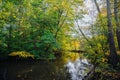 Autumn colors on the trees near a river Royalty Free Stock Photo