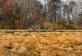 Autumn colors in wetlands marxh of Gardiners PArk Long Island