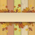 Autumn Colors Wood Foliage Banner