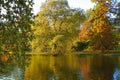 Autumn colour in the park, London Royalty Free Stock Photo