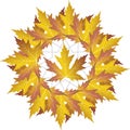 Colour vector maple leaf circle