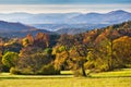 Autumn coloured trees in meadows near Lubietova village in Polana Royalty Free Stock Photo