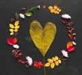 Autumn colourful leaves frame on dark background Royalty Free Stock Photo