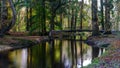 Autumn colours on the Black Water in the New Forest National Park, Hampshire, UK Royalty Free Stock Photo