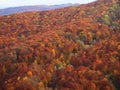 Autumn colours at Doftana river valley Royalty Free Stock Photo