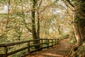 Autumn colours in Jesmond Dene woodland. Tranquil scene with wooden fence and pathway Royalty Free Stock Photo