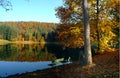 Autumn colours on a lake Royalty Free Stock Photo
