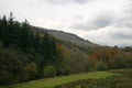 Autumn colours leaving Seathwaite Fell