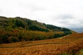 Autumn colours leaving Seathwaite Fell