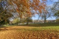 Autumn Colours at Meersbrook Park