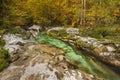 Autumn colours in the Mostnica Gorge in Slovenia