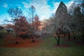 Autumn colours at Mount Lofty Botanic Gardens Royalty Free Stock Photo