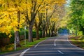 Autumn colours in Mount Macedon, Victoria, Australia Royalty Free Stock Photo