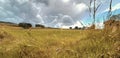 Autumn colours, over fields and hills, close to the Cowling Pinnacle in, Cowling, UK