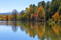 Autumn colours reflected on the water Royalty Free Stock Photo