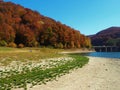 Autumn colours in Romania