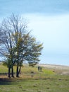 Autumn colours in Romania Royalty Free Stock Photo