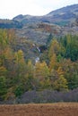 Autumn colours of Seathwaite Fell