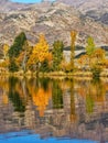 Autumn colours trees reflecting in the waters of lake Dunstan in the Otago Region of the South Island of New Zealand Royalty Free Stock Photo