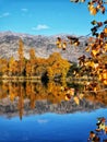 Autumn colours trees reflecting in the waters of lake Dunstan in the Otago Region of the South Island of New Zealand Royalty Free Stock Photo