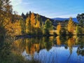 Autumn colours trees reflecting in the waters of lake Dunstan in the Otago Region of the South Island of New Zealand Royalty Free Stock Photo