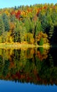 Autumn colours on a water Royalty Free Stock Photo