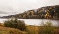 Autumn comes. The forest belt. Lake Shore. Yellow trees.