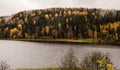 Autumn comes. The forest belt. Lake Shore. Yellow trees.