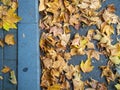 Autumn is coming. Fallen maple leaves on the sidewalk. Yellow dry leaves in August. Early leaf fall. Autumn concept Royalty Free Stock Photo