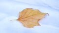 Autumn is comming Royalty Free Stock Photo