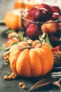 Autumn composition - apples and pumpkin on rustic background, autumn and halloween concept Royalty Free Stock Photo