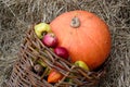 Autumn composition of apples, straw and pumpkin.